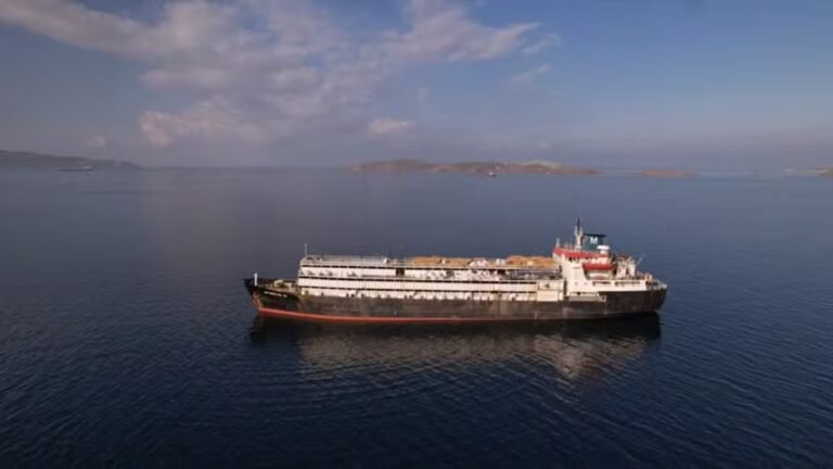 navio-redimensionado-para-1200x675