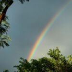 Bruce O Arco-Ires depois da chuva