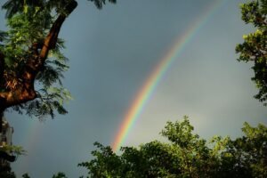 Bruce O Arco-Ires depois da chuva