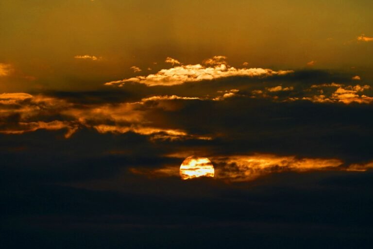 Bruce O Sol se despede em ouro